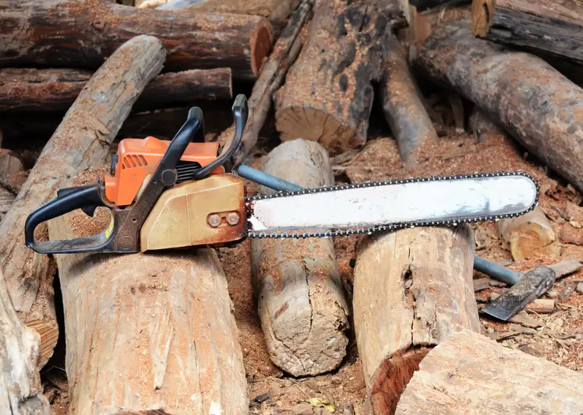 Chainsaw resting on cut logs after tree lopping